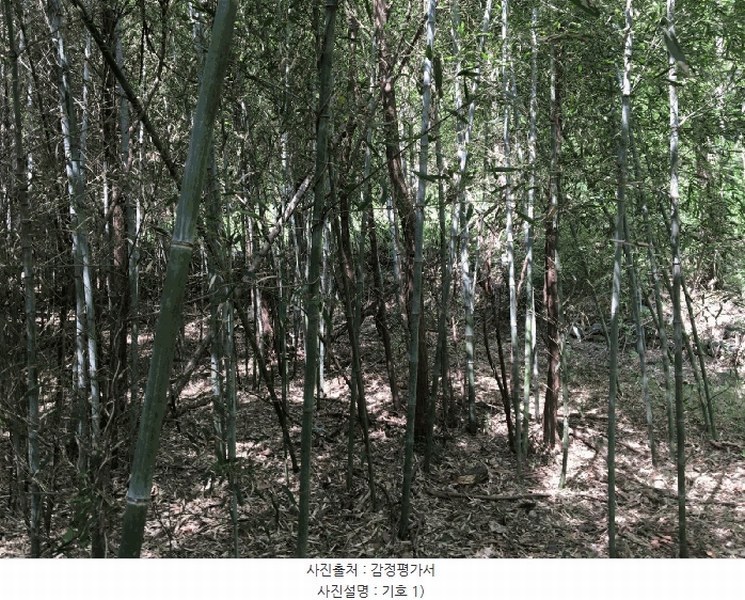 2025타경51324 전라남도 순천시 해룡면 상내리 108 농지 경매 이미지
