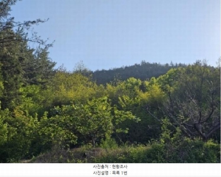 2025타경51324 전라남도 순천시 해룡면 상내리 108 농지 경매 이미지