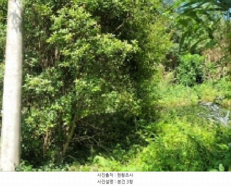 2025타경52003 전라남도 보성군 조성면 축내리 425 대지 경매 이미지