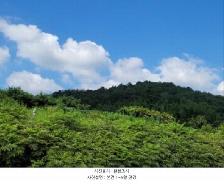 2025타경52003 전라남도 보성군 조성면 축내리 425 대지 경매 이미지
