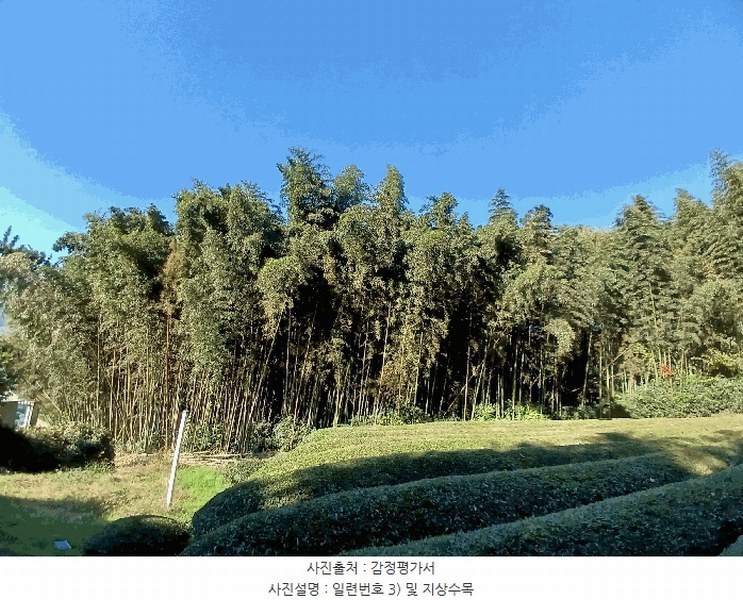2025타경52245 전라남도 보성군 회천면 벽교리 산24 임야 경매 이미지