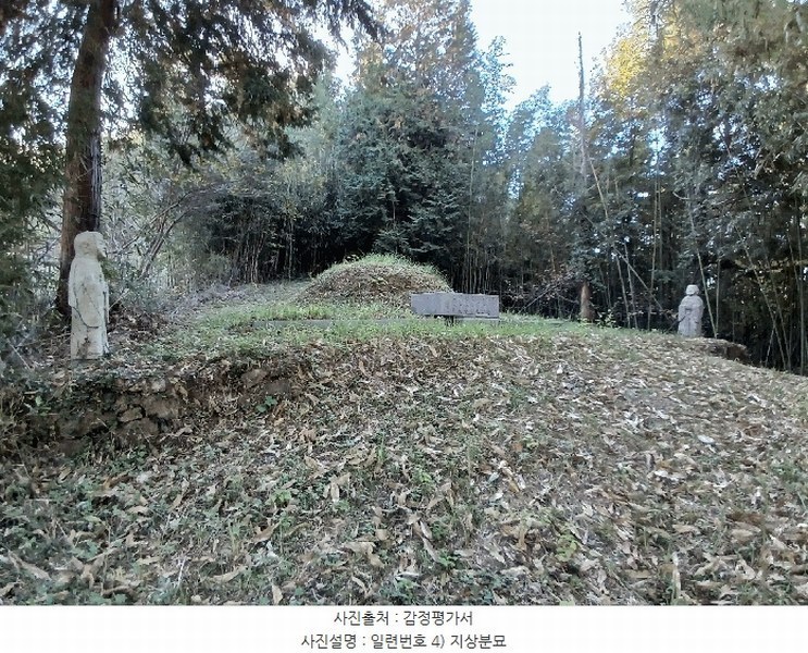 2025타경52245 전라남도 보성군 회천면 벽교리 산24 임야 경매 이미지