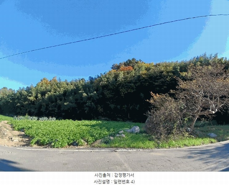 2025타경52245 전라남도 보성군 회천면 벽교리 산24 임야 경매 이미지