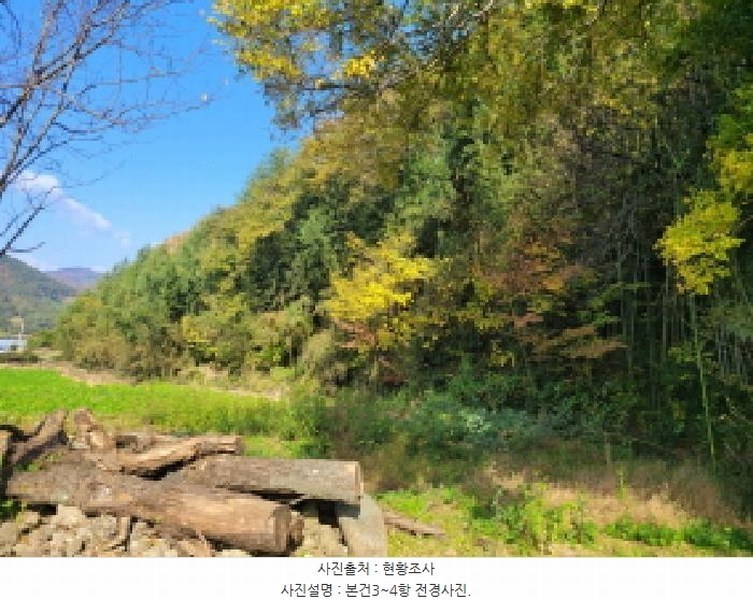 2025타경52245 전라남도 보성군 회천면 벽교리 산24 임야 경매 이미지