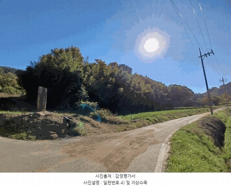 2025타경52245 전라남도 보성군 회천면 벽교리 산24 임야 경매 이미지