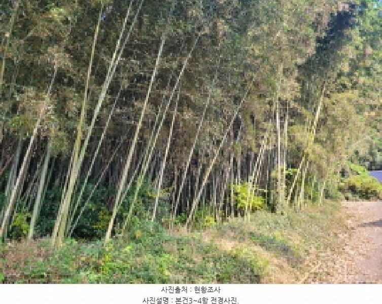 2025타경52245 전라남도 보성군 회천면 벽교리 산24 임야 경매 이미지