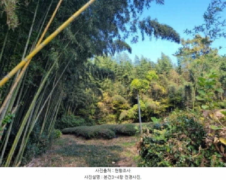 2025타경52245 전라남도 보성군 회천면 벽교리 산24 임야 경매 이미지