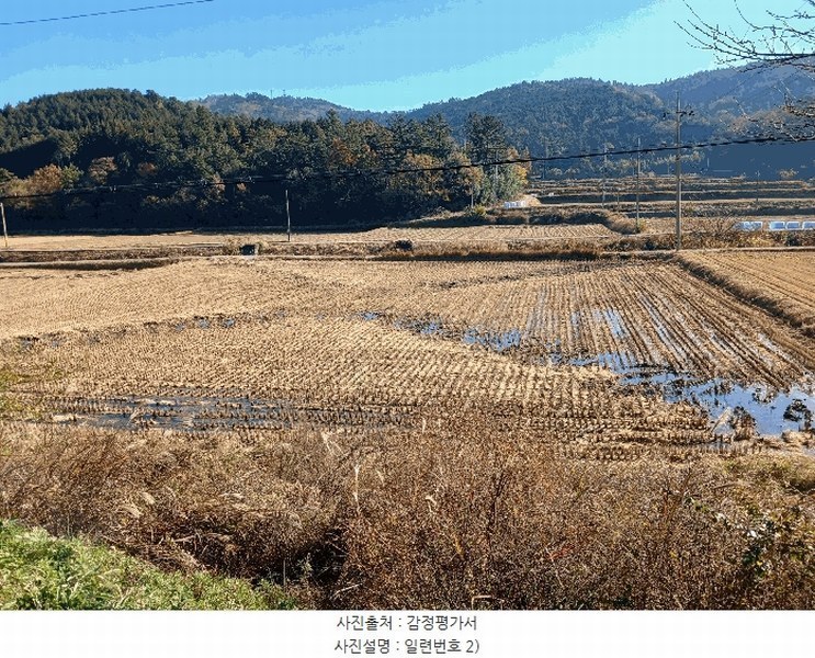 2025타경52245 전라남도 보성군 보성읍 봉산리 1445-3 농지 경매 이미지
