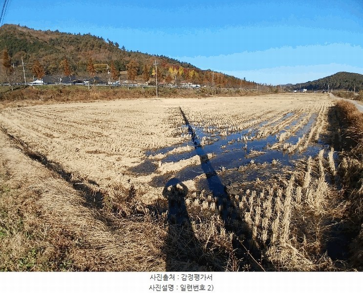 2025타경52245 전라남도 보성군 보성읍 봉산리 1445-3 농지 경매 이미지