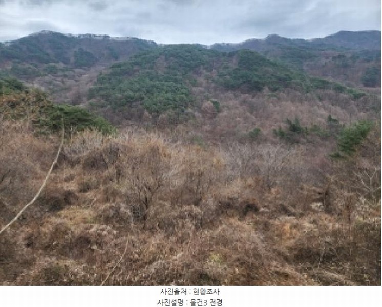 2025타경52410 전라남도 구례군 토지면 내동리 산110-9 임야 경매 이미지