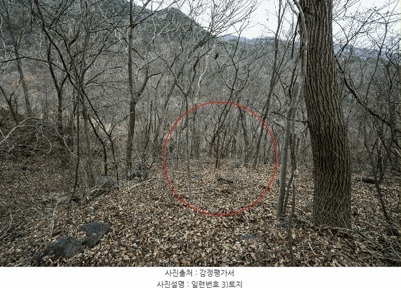 2025타경52410 전라남도 구례군 토지면 내동리 산110-9 임야 경매 이미지