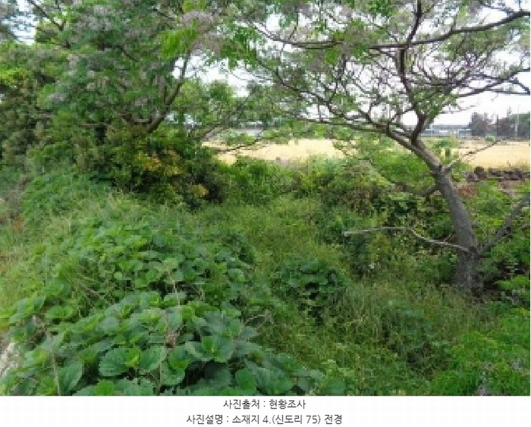 2025타경8140 제주특별자치도 서귀포시 대정읍 신도리 75 농지 경매 이미지