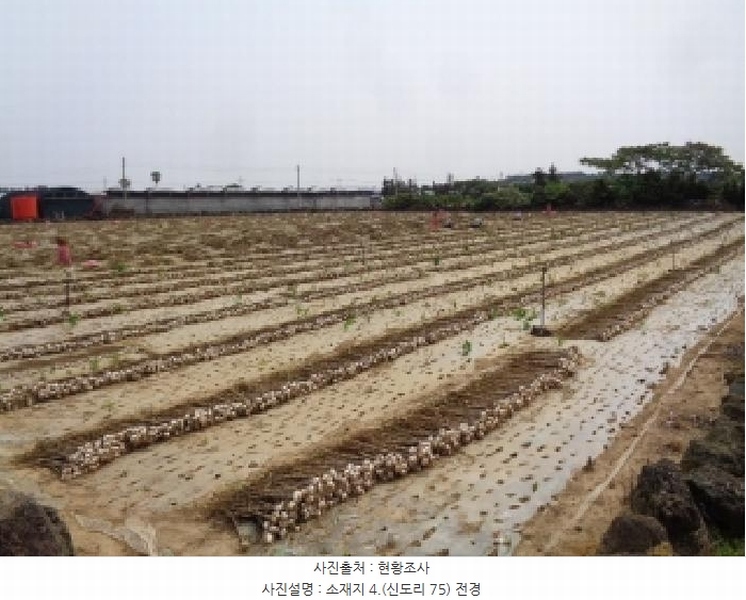 2025타경8140 제주특별자치도 서귀포시 대정읍 신도리 75 농지 경매 이미지