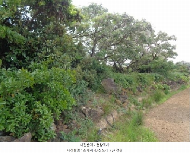 2025타경8140 제주특별자치도 서귀포시 대정읍 신도리 75 농지 경매 이미지