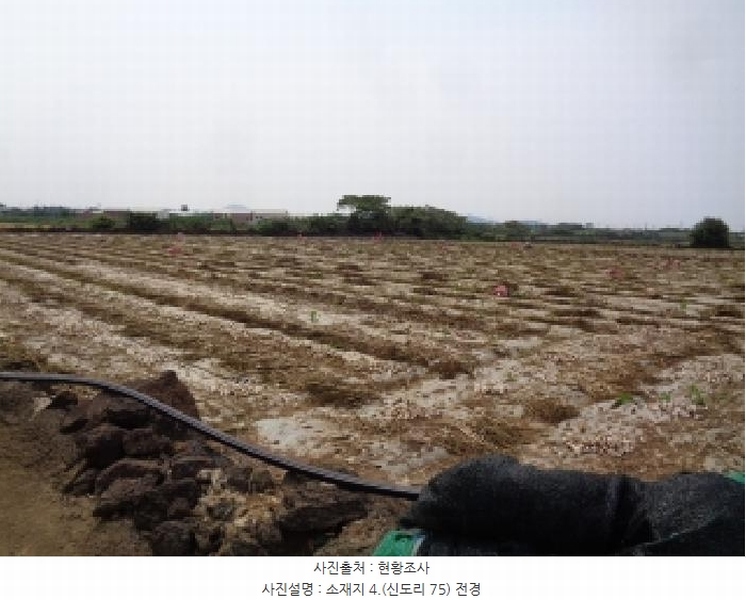 2025타경8140 제주특별자치도 서귀포시 대정읍 신도리 75 농지 경매 이미지