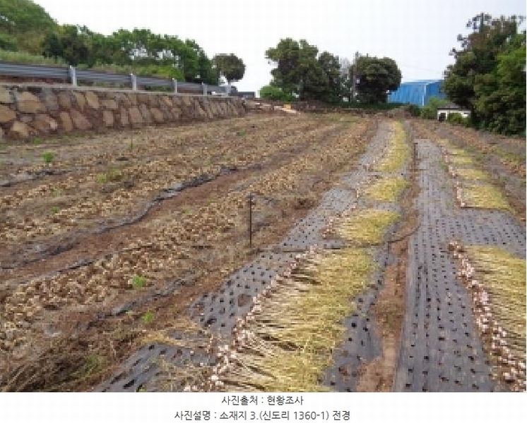 2025타경8140 제주특별자치도 서귀포시 대정읍 신도리 1360-1 농지 경매 이미지