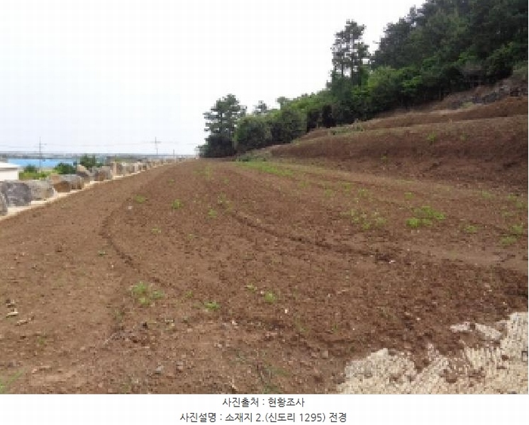 2025타경8140 제주특별자치도 서귀포시 대정읍 신도리 1295 농지 경매 이미지