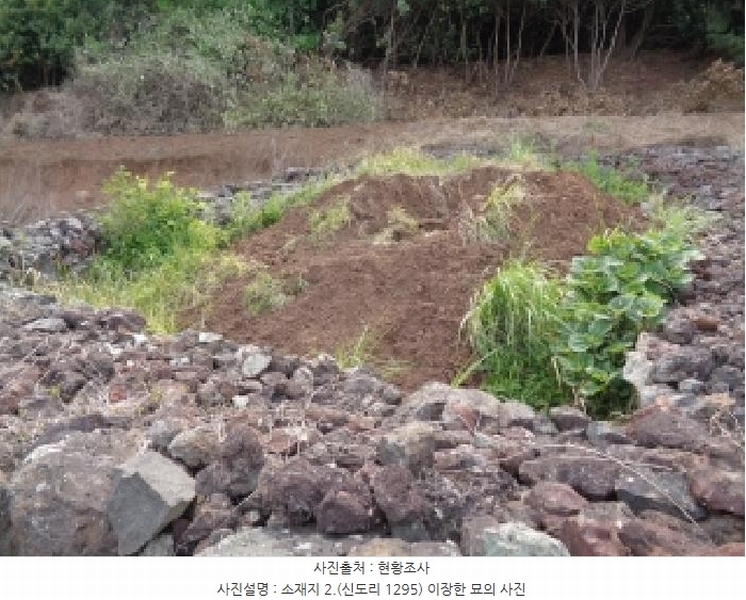 2025타경8140 제주특별자치도 서귀포시 대정읍 신도리 1295 농지 경매 이미지
