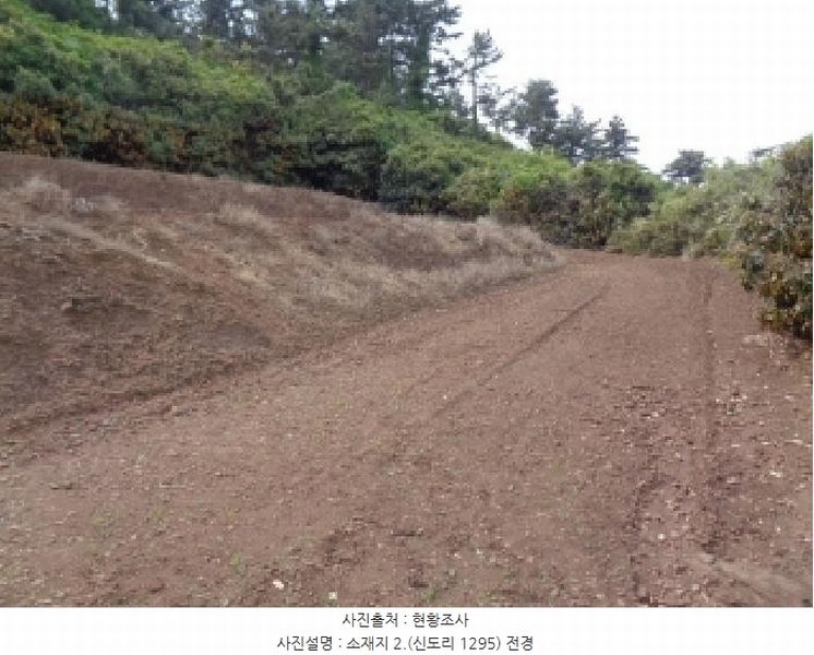 2025타경8140 제주특별자치도 서귀포시 대정읍 신도리 1295 농지 경매 이미지