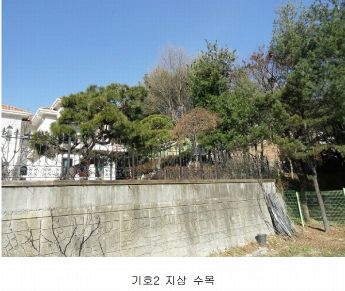 2025타경50284 경기도 용인시 수지구 신봉동 702-13 주택 경매 이미지