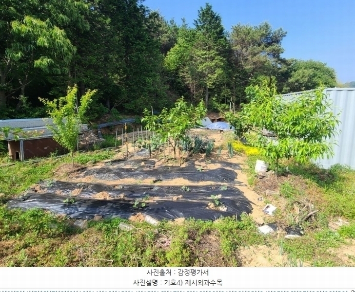 2024타경1437 전북특별자치도 군산시 성산면 도암리 615-4 근린시설 경매 이미지