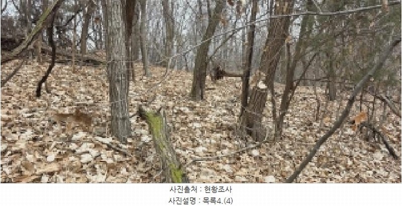 2025타경64725 경기도 파주시 문산읍 선유리 산88-3 임야 경매 이미지