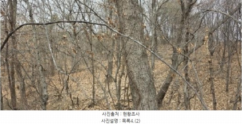 2025타경64725 경기도 파주시 문산읍 선유리 산88-3 임야 경매 이미지