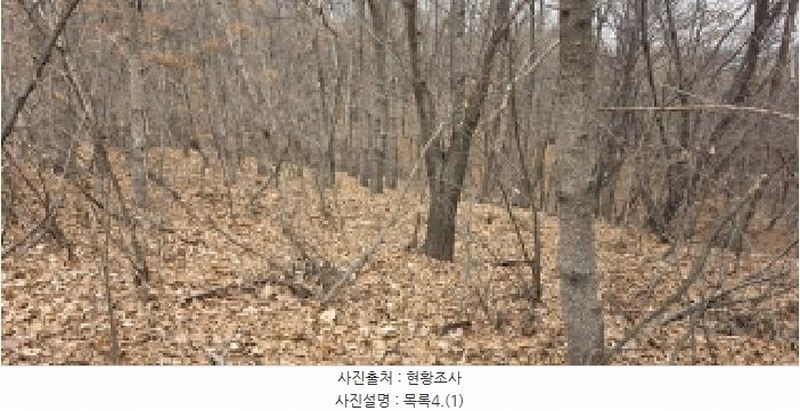 2025타경64725 경기도 파주시 문산읍 선유리 산88-3 임야 경매 이미지