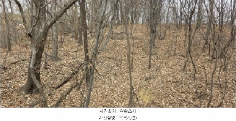 2025타경64725 경기도 파주시 문산읍 선유리 산88-3 임야 경매 이미지