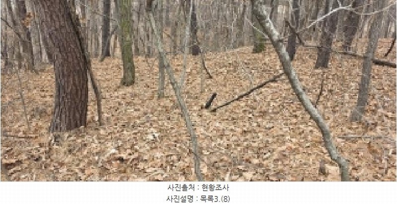 2025타경64725 경기도 파주시 문산읍 선유리 산88-4 임야 경매 이미지