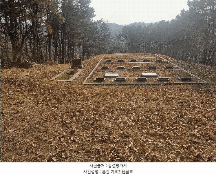 2025타경64725 경기도 파주시 문산읍 선유리 산88-4 임야 경매 이미지