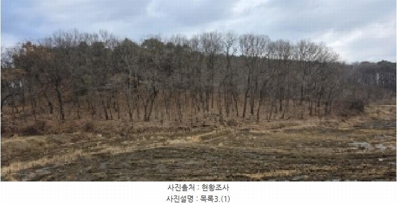 2025타경64725 경기도 파주시 문산읍 선유리 산88-4 임야 경매 이미지