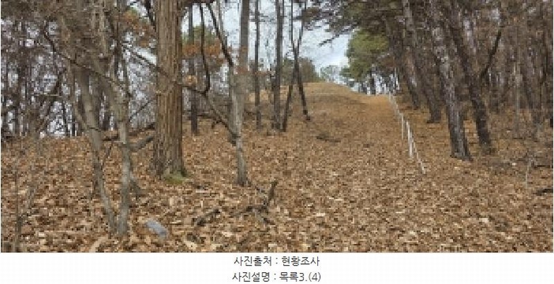 2025타경64725 경기도 파주시 문산읍 선유리 산88-4 임야 경매 이미지