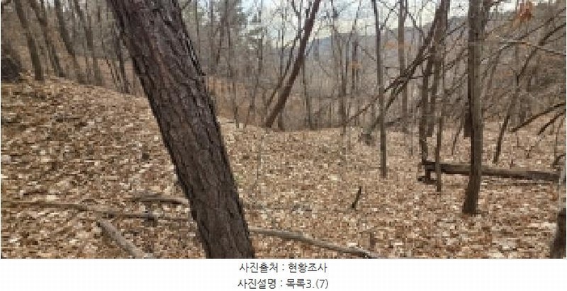 2025타경64725 경기도 파주시 문산읍 선유리 산88-4 임야 경매 이미지