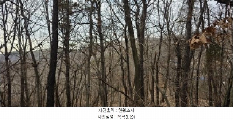 2025타경64725 경기도 파주시 문산읍 선유리 산88-4 임야 경매 이미지