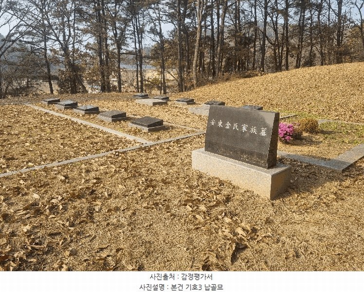 2025타경64725 경기도 파주시 문산읍 선유리 산88-4 임야 경매 이미지