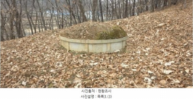 2025타경64725 경기도 파주시 문산읍 선유리 산88-4 임야 경매 이미지