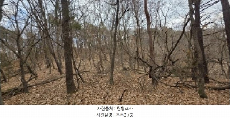 2025타경64725 경기도 파주시 문산읍 선유리 산88-4 임야 경매 이미지