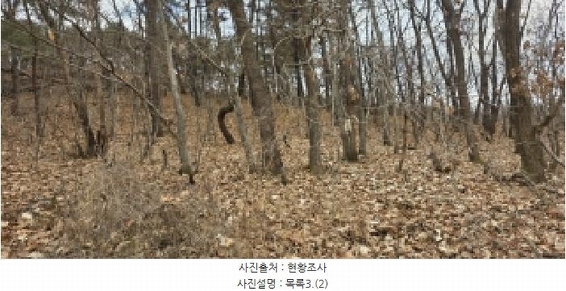 2025타경64725 경기도 파주시 문산읍 선유리 산88-4 임야 경매 이미지
