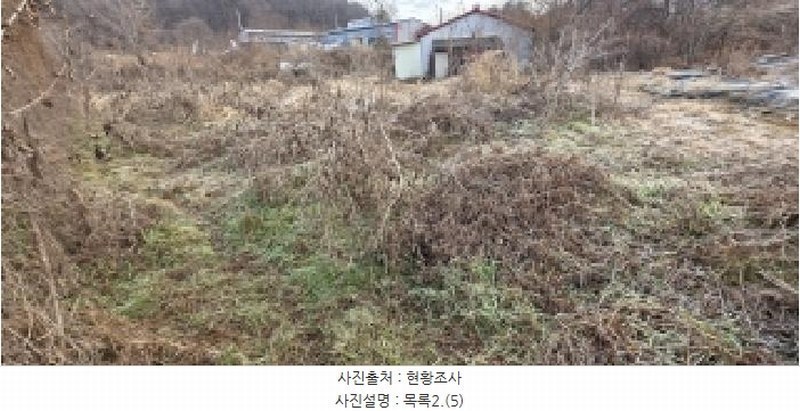 2025타경64725 경기도 파주시 문산읍 당동리 4-1 구거 경매 이미지