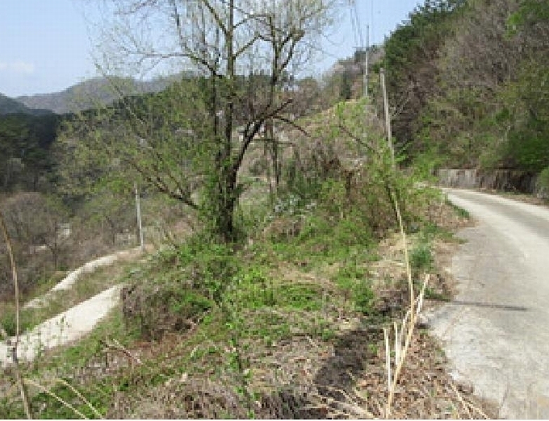 2025타경5269 경상북도 문경시 동로면 석항리 996 농지 경매 이미지