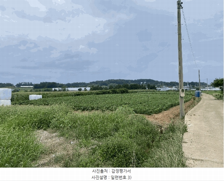 2025타경51264 전라남도 무안군 현경면 현화리 136 농지 경매 이미지