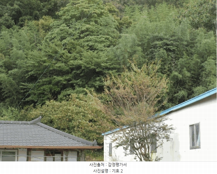 2025타경51500 전라남도 함평군 대동면 용성리 산89 임야 경매 이미지