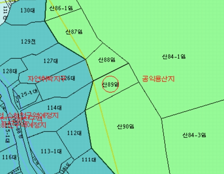 2025타경51500 전라남도 함평군 대동면 용성리 산89 임야 경매 이미지
