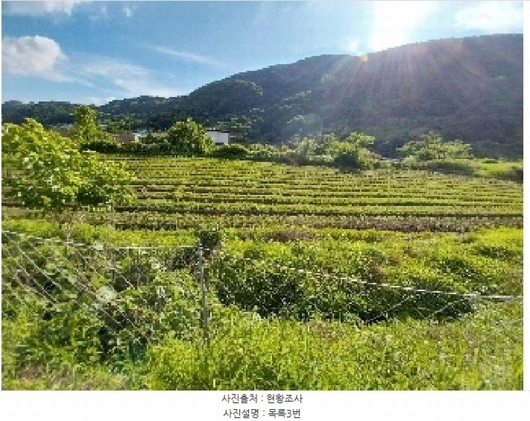 2025타경20282 충청남도 공주시 유구읍 세동리 106 농지 경매 이미지