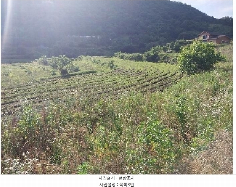 2025타경20282 충청남도 공주시 유구읍 세동리 106 농지 경매 이미지