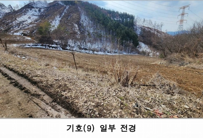 2021타경1030 강원특별자치도 평창군 대화면 대화리 산276 농지 경매 이미지