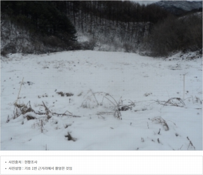 2021타경1030 강원특별자치도 평창군 대화면 대화리 산276 농지 경매 이미지