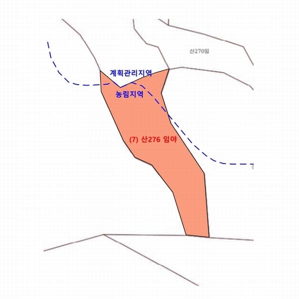 2021타경1030 강원특별자치도 평창군 대화면 대화리 산276 농지 경매 이미지