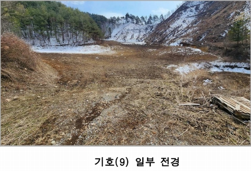 2021타경1030 강원특별자치도 평창군 대화면 대화리 산276 농지 경매 이미지